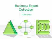 Business Expert Collection